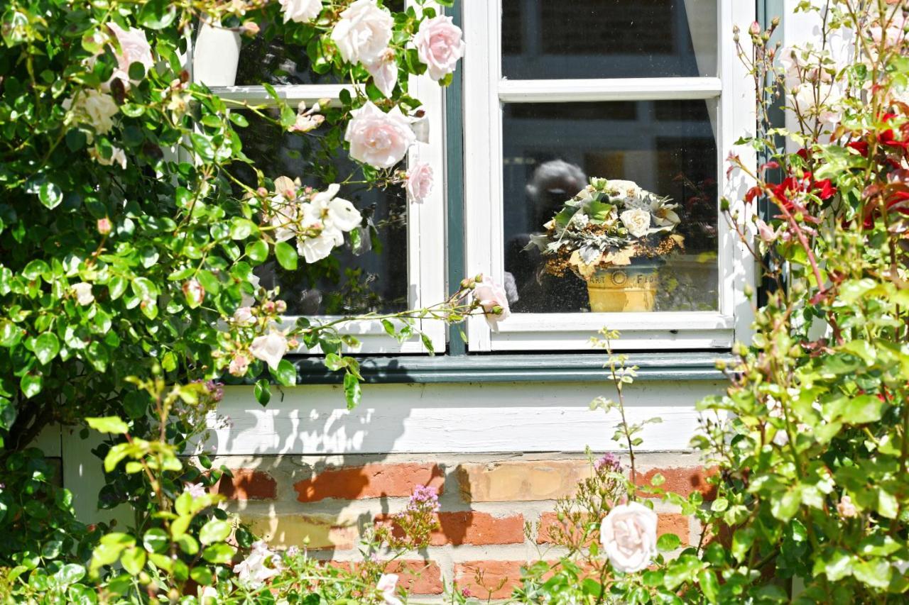 Landhaus Vilmnitz - Wohnung 10 Extérieur photo