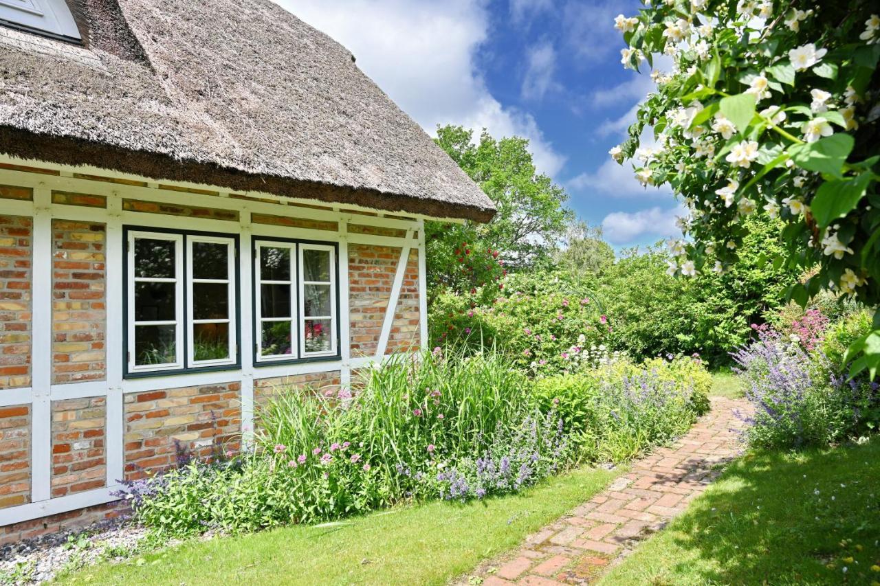 Landhaus Vilmnitz - Wohnung 10 Extérieur photo