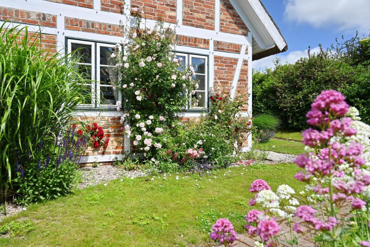 Landhaus Vilmnitz - Wohnung 10 Extérieur photo